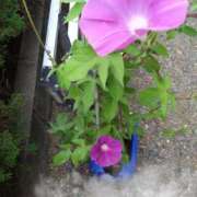 ヒメ日記 2025/08/01 14:06 投稿 樹(いつき) 相模原人妻城