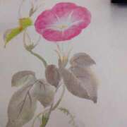 ヒメ日記 2025/08/10 12:39 投稿 樹(いつき) 相模原人妻城