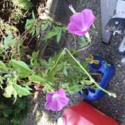 ヒメ日記 2025/08/30 21:54 投稿 樹(いつき) 相模原人妻城