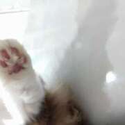 ヒメ日記 2025/09/02 20:00 投稿 樹(いつき) 相模原人妻城