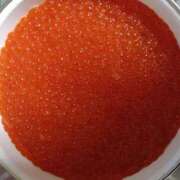 ヒメ日記 2025/09/11 19:39 投稿 樹(いつき) 相模原人妻城