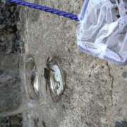 ヒメ日記 2025/09/15 19:45 投稿 樹(いつき) 相模原人妻城