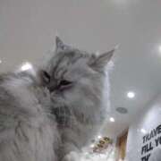 ヒメ日記 2025/10/03 21:06 投稿 樹(いつき) 相模原人妻城