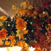 樹(いつき) あいにくの… 相模原人妻城