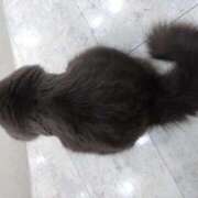 ヒメ日記 2026/01/13 22:03 投稿 樹(いつき) 相模原人妻城