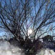 ヒメ日記 2026/01/22 11:03 投稿 樹(いつき) 相模原人妻城