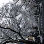 樹(いつき) １週間👀O様❤️ 相模原人妻城