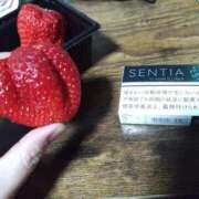 ヒメ日記 2026/02/20 22:33 投稿 樹(いつき) 相模原人妻城