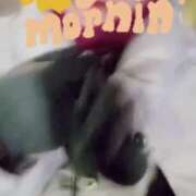 ヒメ日記 2024/12/12 12:03 投稿 エレナ 渋谷蘭の会