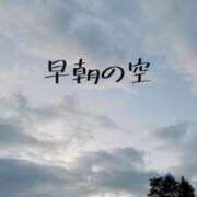 ヒメ日記 2024/12/14 11:41 投稿 エレナ 渋谷蘭の会
