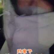 ヒメ日記 2024/12/16 08:16 投稿 エレナ 渋谷蘭の会