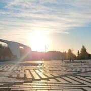 ヒメ日記 2024/12/17 05:41 投稿 エレナ 渋谷蘭の会