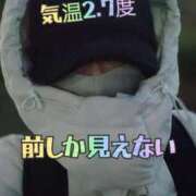 ヒメ日記 2024/12/17 07:21 投稿 エレナ 渋谷蘭の会