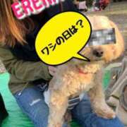 ヒメ日記 2025/02/23 12:21 投稿 エレナ 渋谷蘭の会