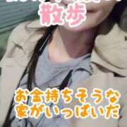 ヒメ日記 2025/03/01 19:51 投稿 エレナ 渋谷蘭の会