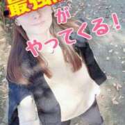 ヒメ日記 2025/03/08 20:21 投稿 エレナ 渋谷蘭の会