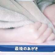 ヒメ日記 2025/03/19 12:21 投稿 エレナ 渋谷蘭の会