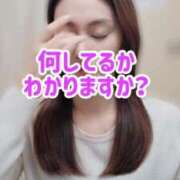 ヒメ日記 2025/03/23 20:31 投稿 エレナ 渋谷蘭の会