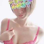 ヒメ日記 2025/04/17 13:02 投稿 エレナ 渋谷蘭の会