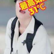 ヒメ日記 2025/05/20 13:51 投稿 エレナ 渋谷蘭の会