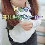 ヒメ日記 2025/06/24 15:44 投稿 エレナ 渋谷蘭の会