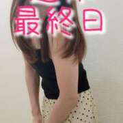 ヒメ日記 2025/09/15 13:25 投稿 エレナ 渋谷蘭の会