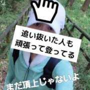 ヒメ日記 2025/10/12 15:05 投稿 エレナ 渋谷蘭の会