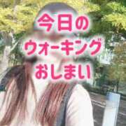 ヒメ日記 2025/11/14 13:55 投稿 エレナ 渋谷蘭の会