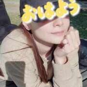 ヒメ日記 2025/11/15 07:15 投稿 エレナ 渋谷蘭の会