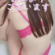 ヒメ日記 2025/11/22 08:15 投稿 エレナ 渋谷蘭の会