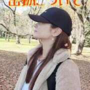 ヒメ日記 2025/11/24 12:08 投稿 エレナ 渋谷蘭の会