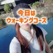 ヒメ日記 2025/11/26 18:35 投稿 エレナ 渋谷蘭の会