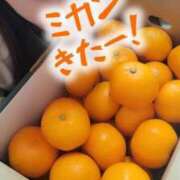 エレナ 届いた！ 渋谷蘭の会