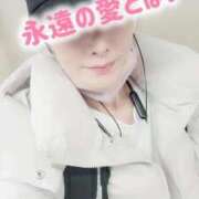 ヒメ日記 2025/12/17 08:05 投稿 エレナ 渋谷蘭の会