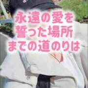 ヒメ日記 2025/12/17 14:15 投稿 エレナ 渋谷蘭の会