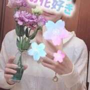 ヒメ日記 2026/01/27 16:45 投稿 エレナ 渋谷蘭の会