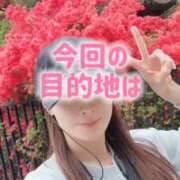 ヒメ日記 2026/04/17 19:56 投稿 エレナ 渋谷蘭の会
