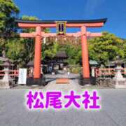 ヒメ日記 2026/05/16 12:05 投稿 エレナ 渋谷蘭の会