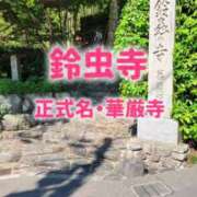 ヒメ日記 2026/05/16 18:15 投稿 エレナ 渋谷蘭の会
