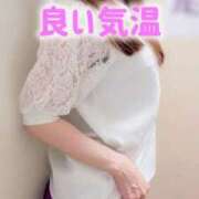 ヒメ日記 2026/08/12 13:15 投稿 エレナ 渋谷蘭の会