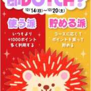 あやみ お礼&告知 即アポマダム~名古屋店~