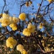 ヒメ日記 2024/04/13 17:15 投稿 まみ 奥様はエンジェル　町田店