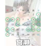 ヒメ日記 2025/04/29 20:24 投稿 宮瀬えりか シャトーペトラ