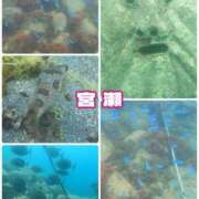 ヒメ日記 2025/08/10 22:10 投稿 宮瀬えりか シャトーペトラ