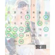 ヒメ日記 2025/09/04 13:01 投稿 宮瀬えりか シャトーペトラ