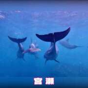 ヒメ日記 2025/10/04 21:41 投稿 宮瀬えりか シャトーペトラ