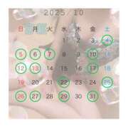 ヒメ日記 2025/10/06 08:46 投稿 宮瀬えりか シャトーペトラ