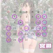 宮瀬えりか 12月も♡ シャトーペトラ