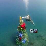 ヒメ日記 2025/12/04 22:52 投稿 宮瀬えりか シャトーペトラ