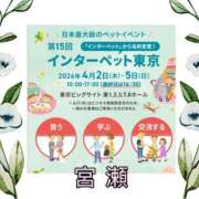 ヒメ日記 2026/04/04 21:57 投稿 宮瀬えりか シャトーペトラ